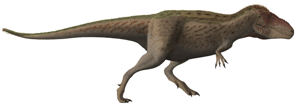 Tarbosaurus - The Asian Tyrant King (Image Credits: Wikimedia)
