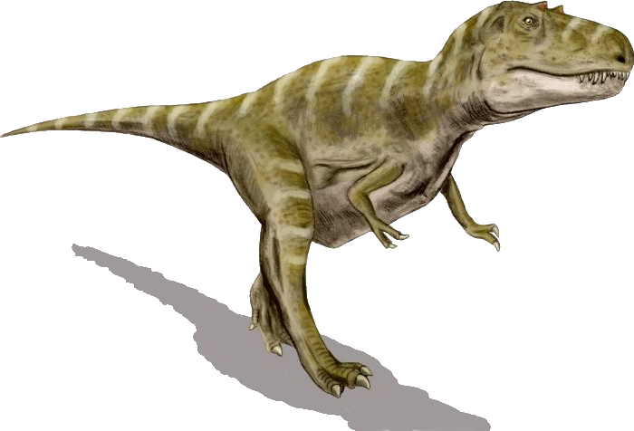 Gorgosaurus - The Fierce Tyrannosaur (Image Credits: Wikimedia)