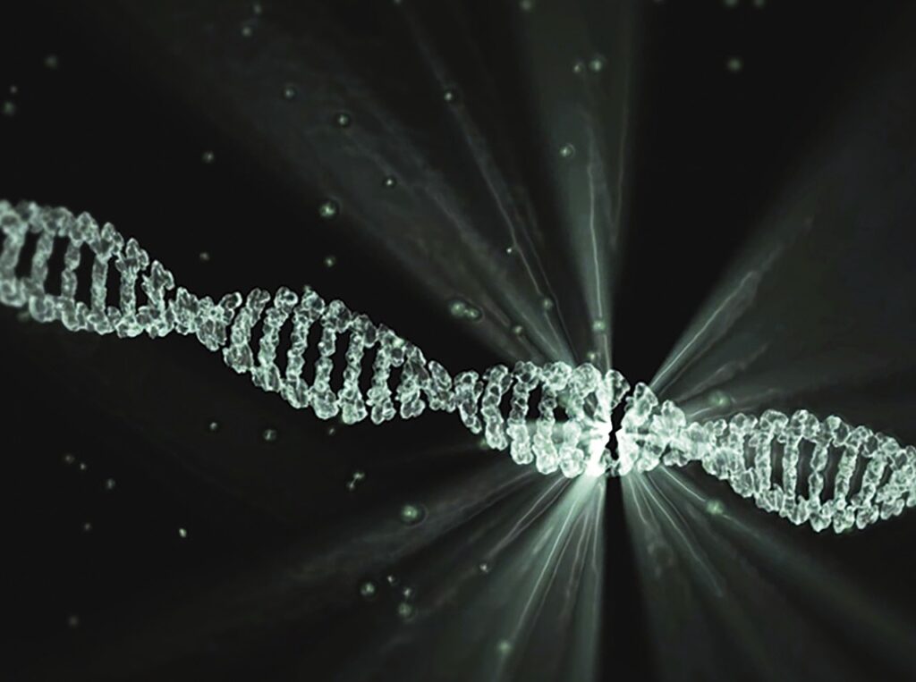 Ancient DNA Solved the First Pandemic Mystery