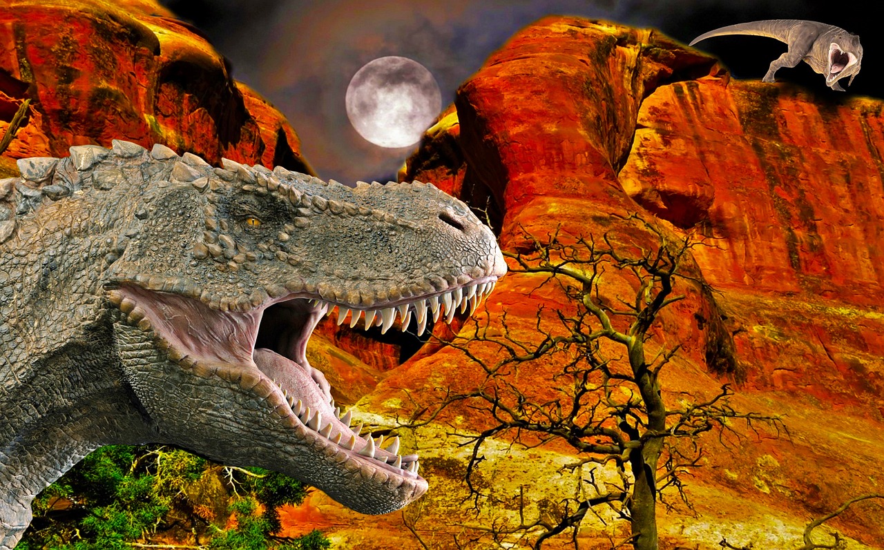 Days That Raced By in Just 23 Hours (Image Credits: Pixabay)