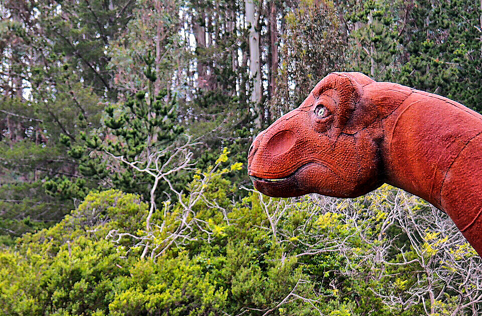 A Night Sky of Alien Constellations (Image Credits: Flickr)