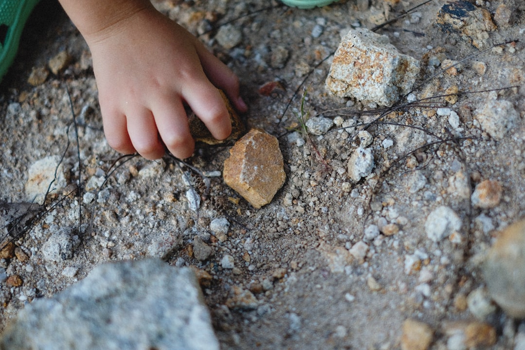The Nine-Year-Old Who Discovered a Missing Link (Image Credits: Unsplash)