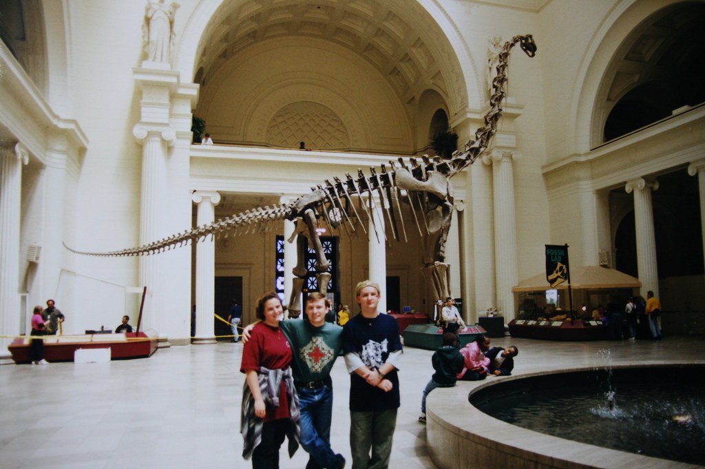 Construction Workers Uncover a Giant Sauropod in Portugal (Image Credits: Flickr)