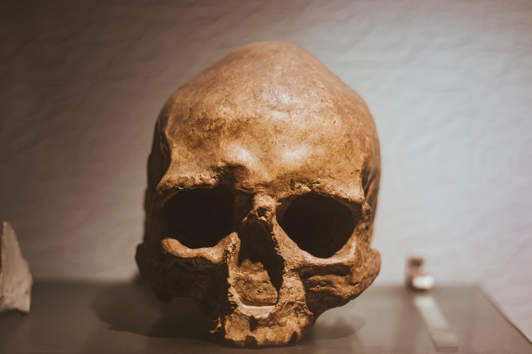 The First Neanderthal Found by Limestone Quarry Workers (Image Credits: Unsplash)