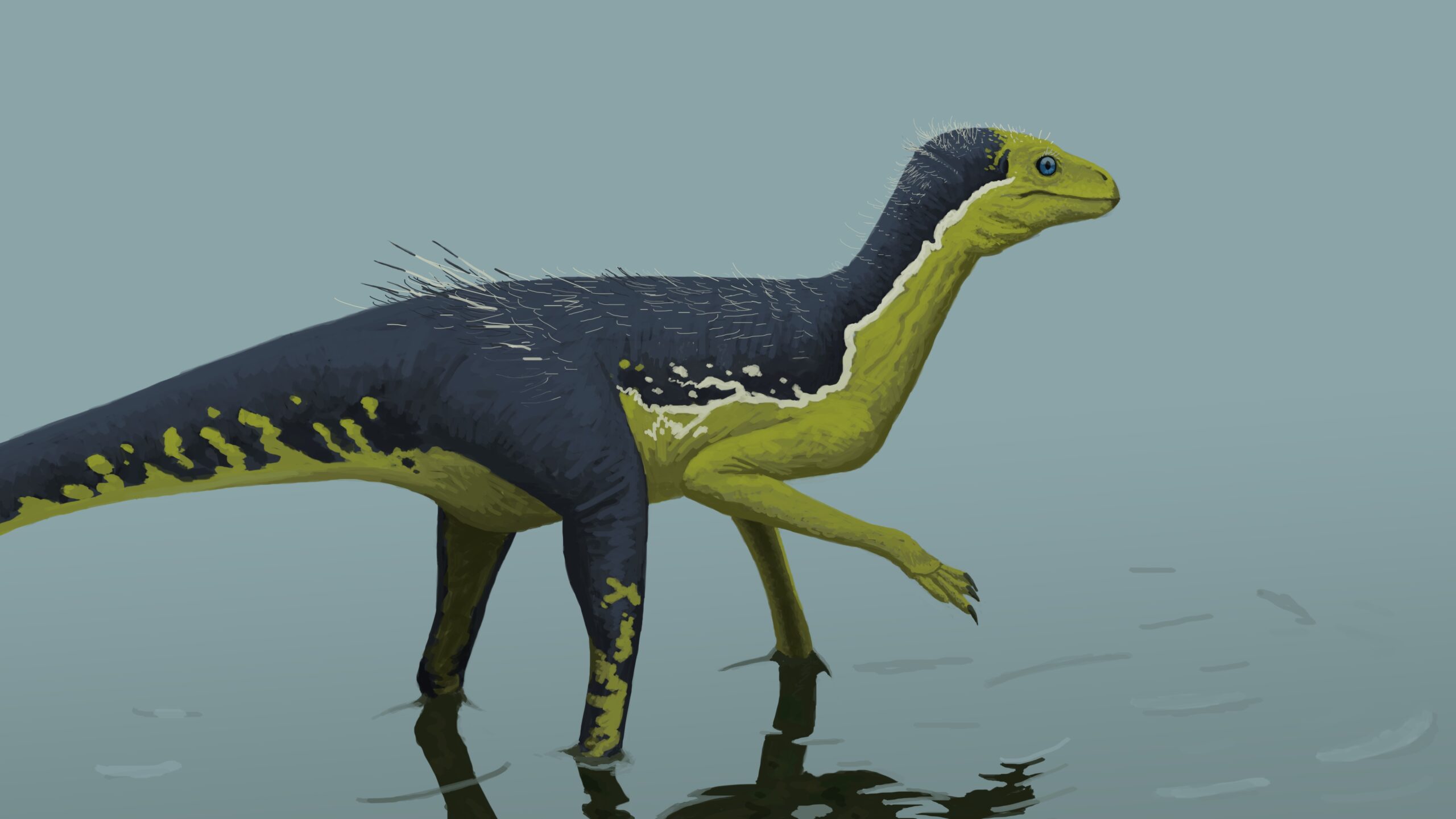 Gondwanax paraisensis - Challenging Dinosaur Lineage (Image Credits: Wikimedia)