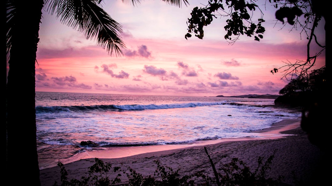 When Oceans Blushed Pink (Image Credits: Unsplash)