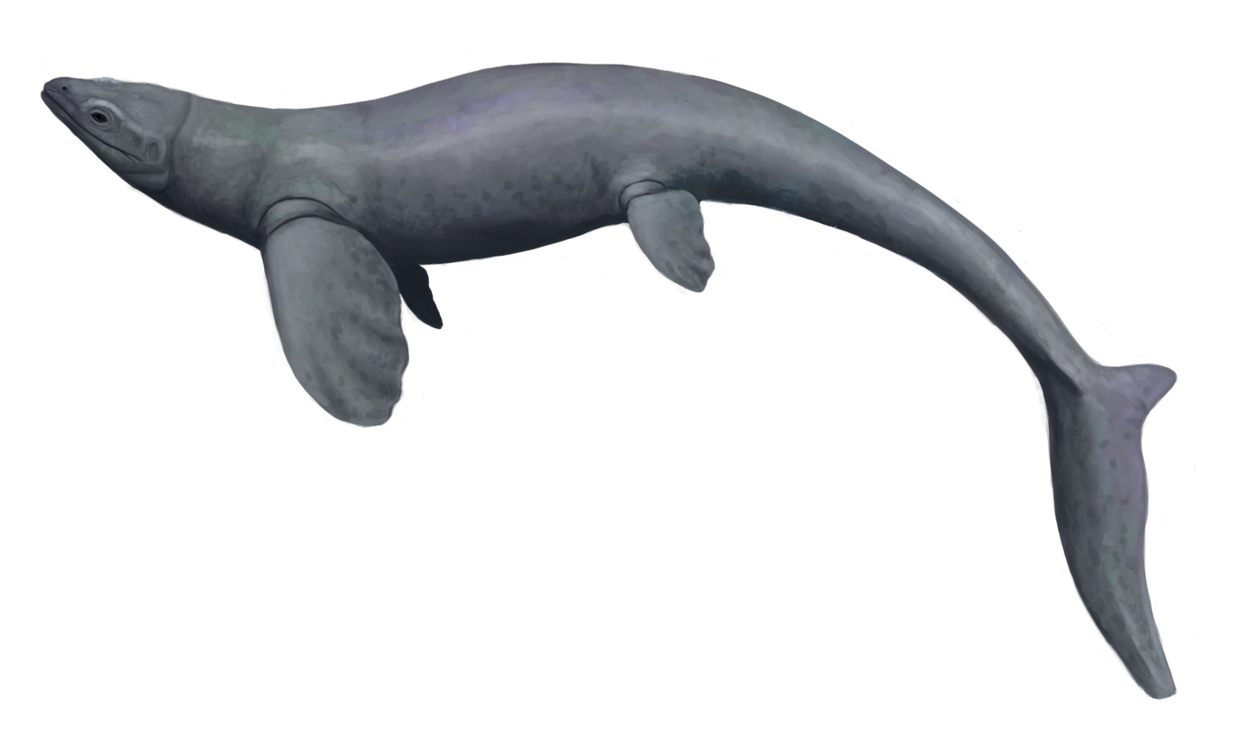 Dark Seas and Ancient Marine Life (Image Credits: Wikimedia)