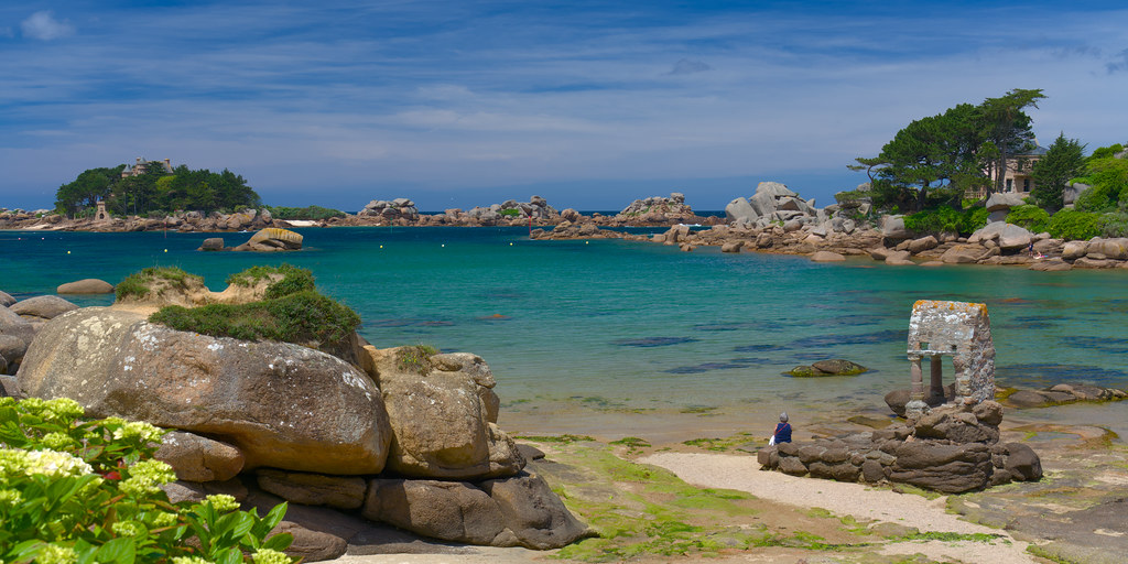 Fossil Evidence of Ancient Colors (Image Credits: Flickr)