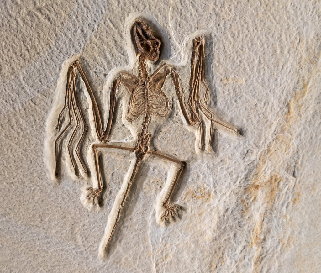 The Death Prerequisites: Hard Parts Give You a Fighting Chance (Image Credits: Flickr)