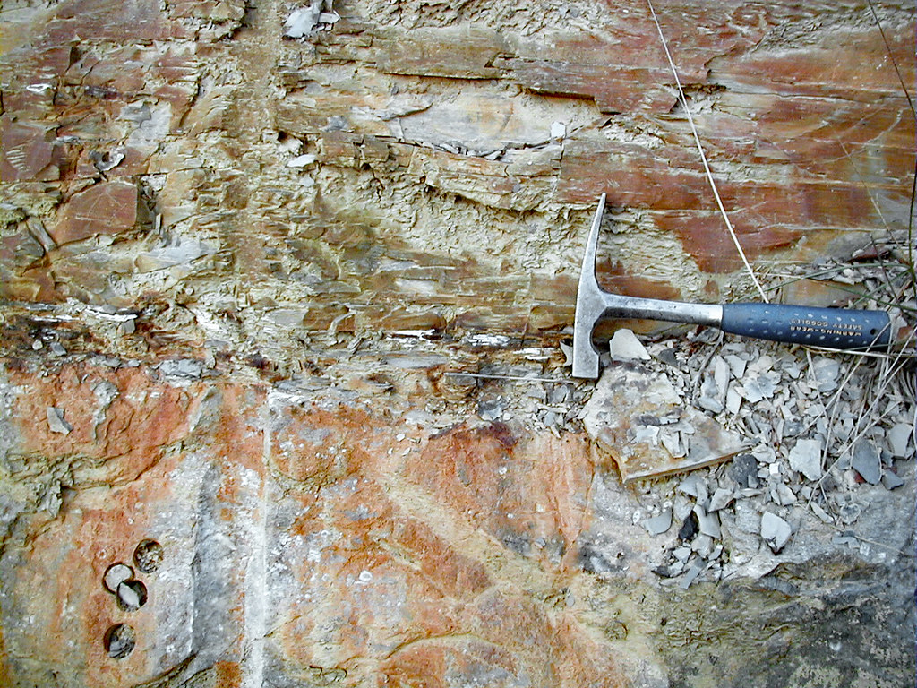 Anoxic Conditions: Death by Suffocation Can Mean Life as a Fossil (Image Credits: Flickr)