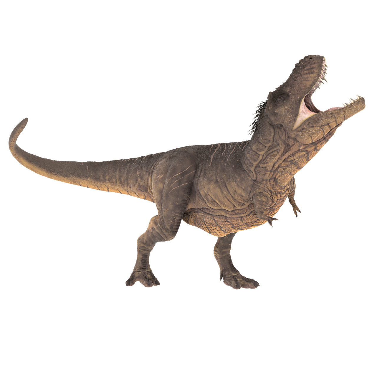 The First Mesozoic Mammal Discovery (Image Credits: Pixabay)