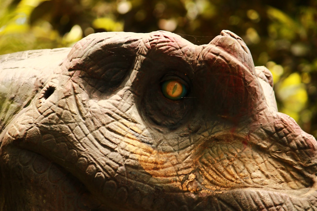 The Secret Ring That Unlocks Dinosaur Vision (Image Credits: Unsplash)