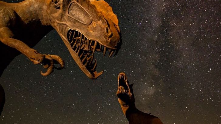 What Dinosaurs Did at Night - New Clues From Eye Fossils