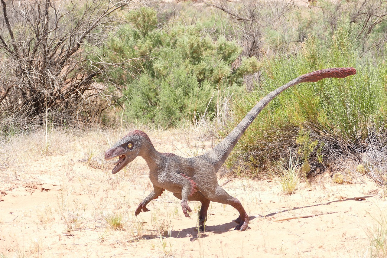 Most Dinosaurs Didn't Hunt in Packs (Image Credits: Pixabay)