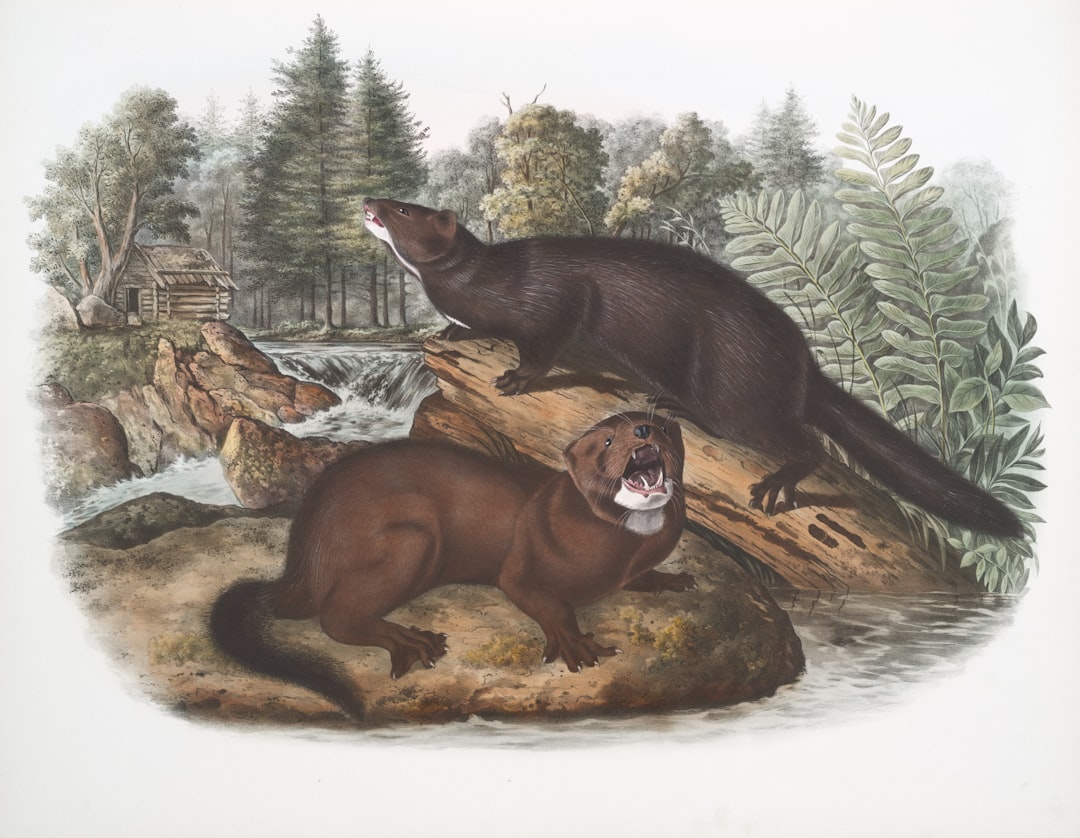 The Dawn of Modern Groups (Image Credits: Unsplash)