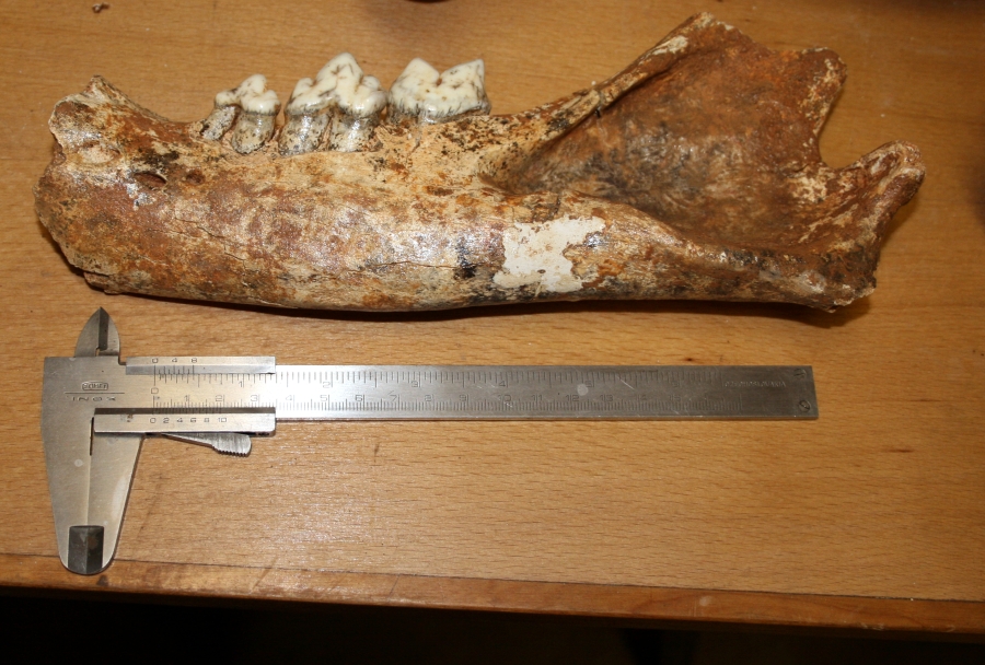 Modern Technology Revealing Ancient Secrets (Image Credits: Wikimedia)