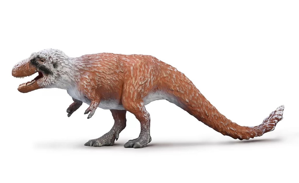 Arctic Adaptations and Feeding Behaviors