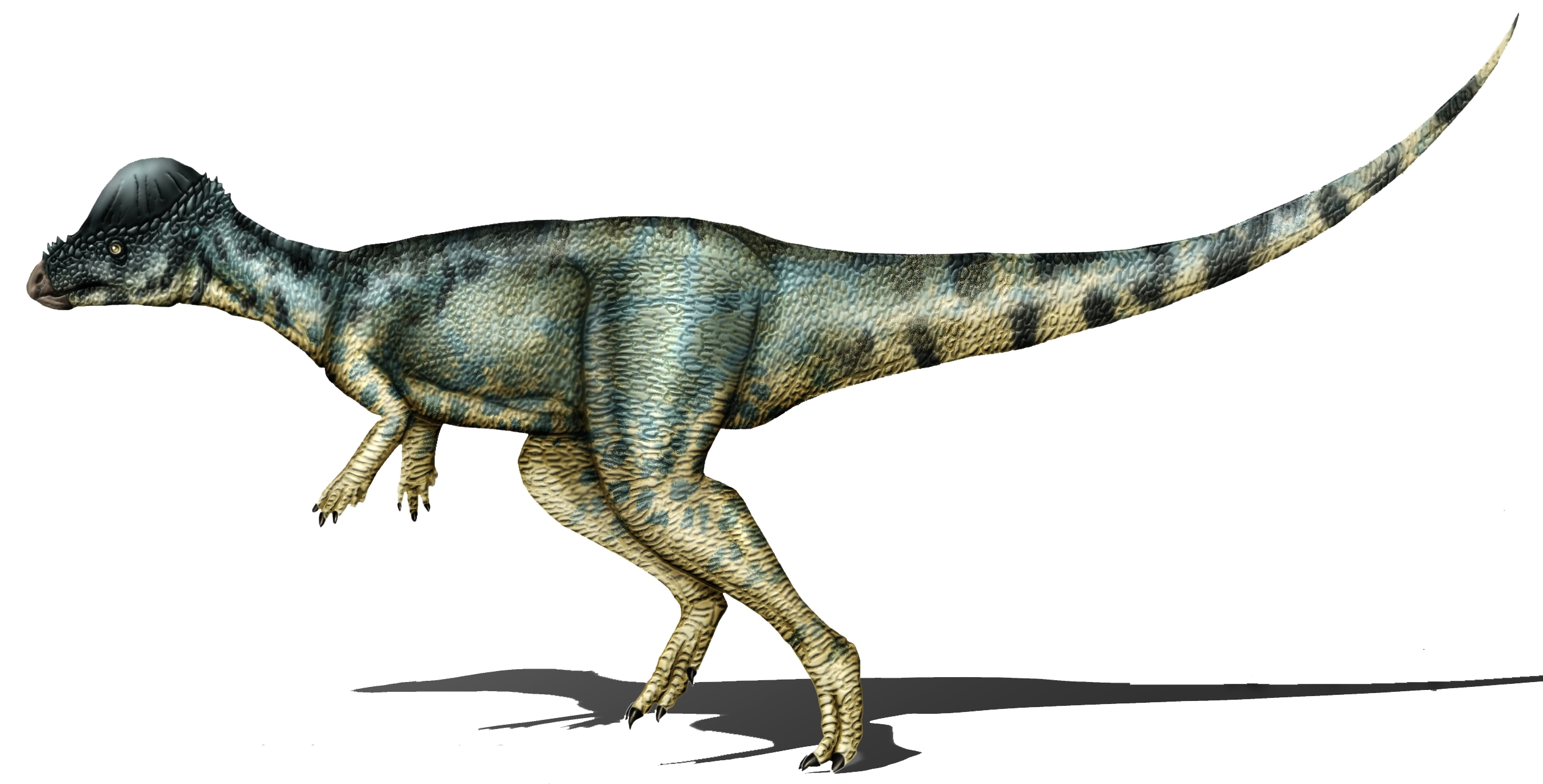 Alternative  Survival Mechanisms (Image Credits: Wikimedia)