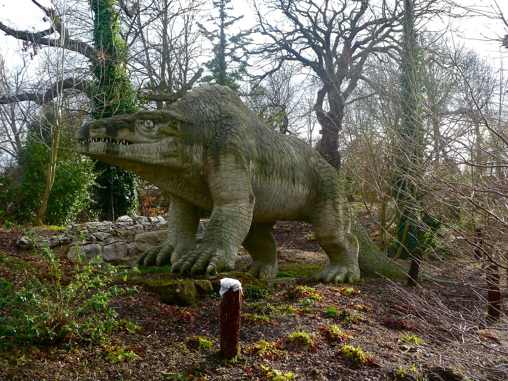 Modern Conservation Efforts (Image Credits: Flickr)