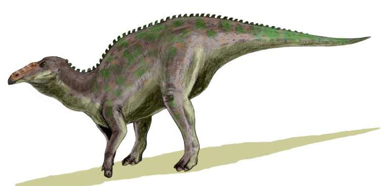 The Duck-Billed Arctic Survivor: Edmontosaurus (Image Credits: Wikimedia)
