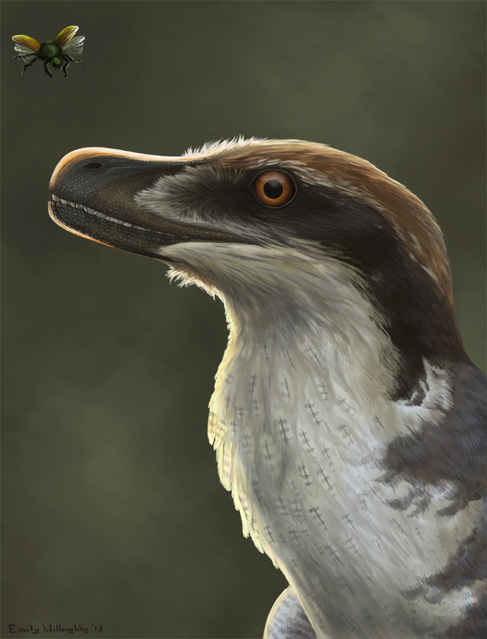 The Feathered Hunters: Troodon and Dromaeosaurus (Image Credits: Wikimedia)