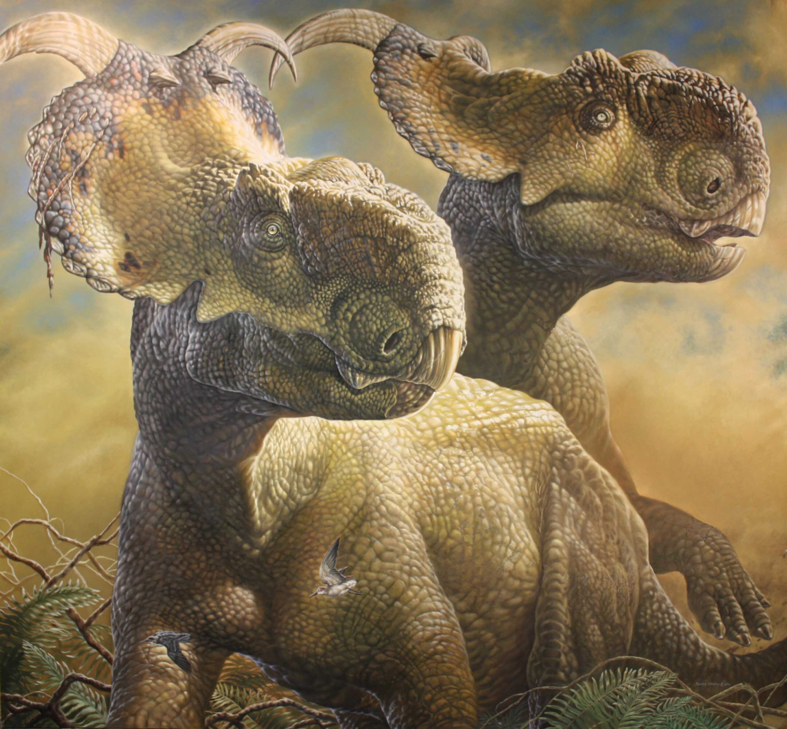 The Horned Giants: Pachyrhinosaurus (Image Credits: Wikimedia)