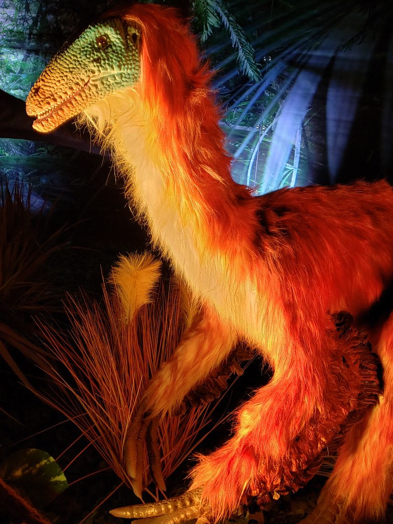 The Insulated Survivors: Feathered Polar Dinosaurs (Image Credits: Flickr)