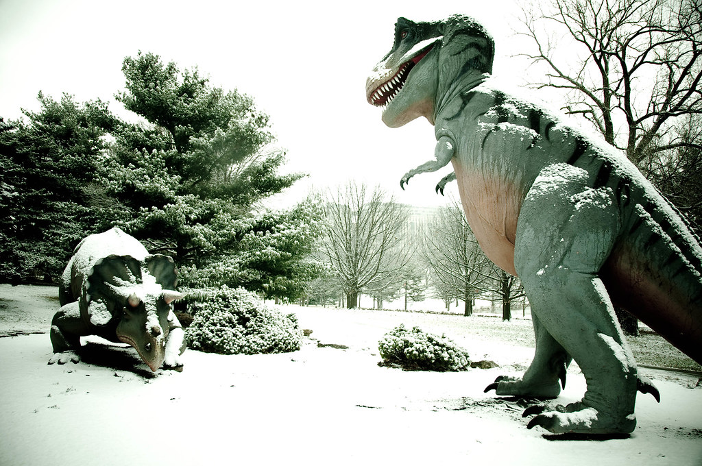 Conclusion (Image Credits: Flickr)