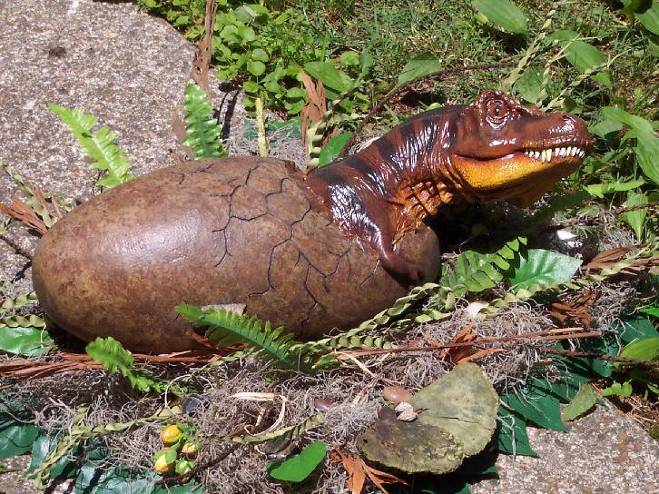 A Turkey-Sized Terror (Image Credits: Flickr)