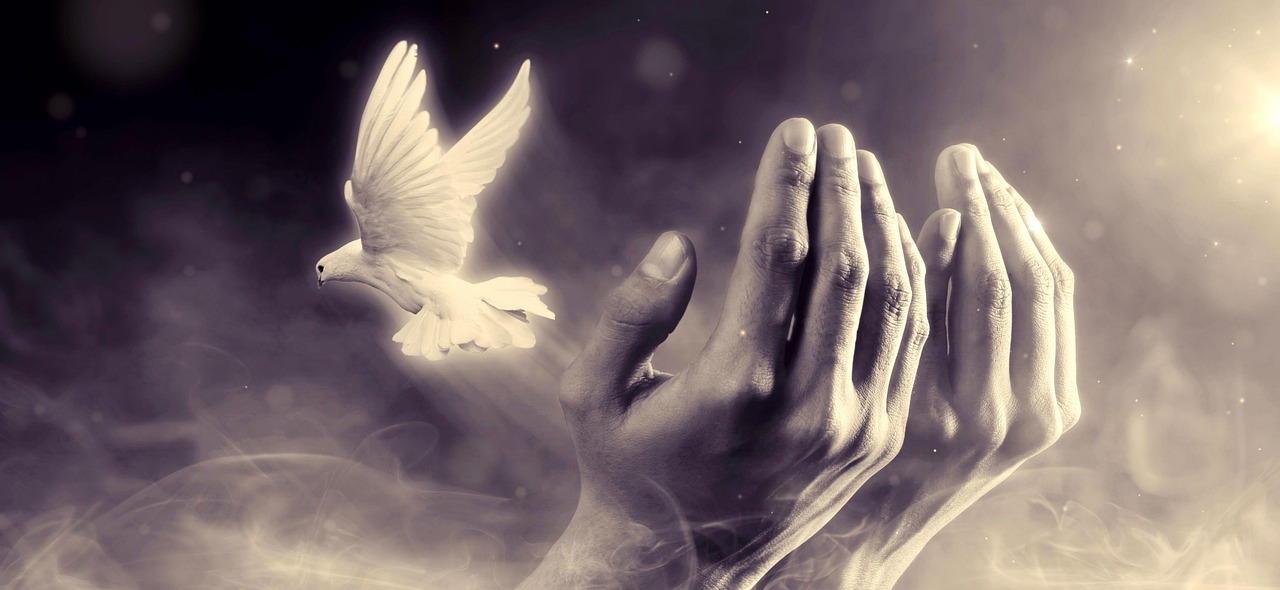 Understanding Your Empathic Nature (Image Credits: Pixabay)