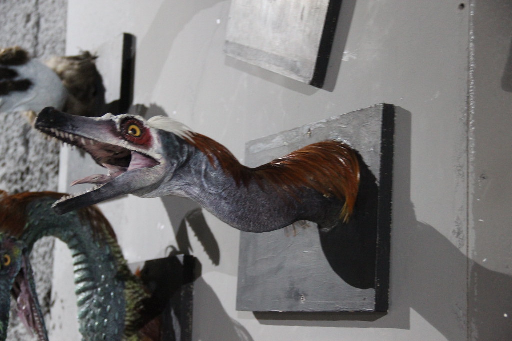 The Discovery That Changed Everything (Image Credits: Flickr)