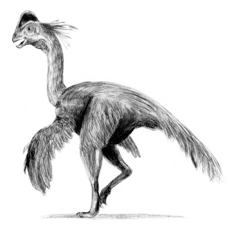 Solving a Century-Old Mystery (Image Credits: Wikimedia)