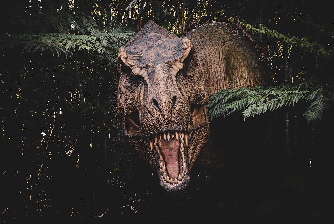 Metoposaurus: The Monster Movie Star (Image Credits: Unsplash)