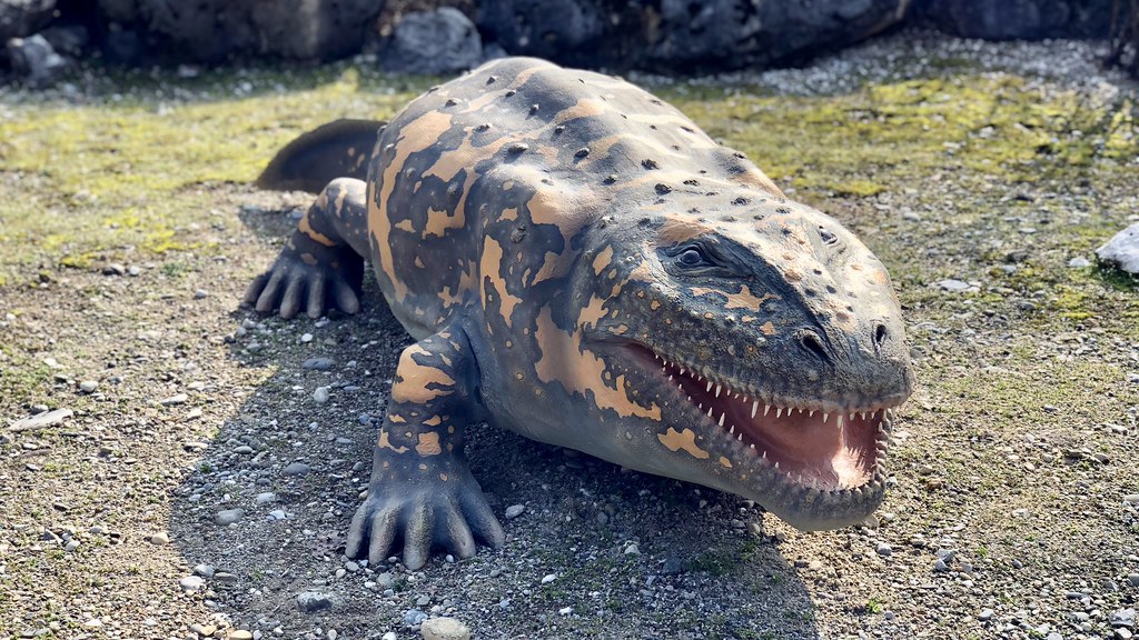 Eryops: The Terrestrial Titan (Image Credits: Flickr)