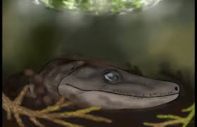 Gaiasia: The Salamander from Hell (Image Credits: Gaiasia dinosaur: Instagram)