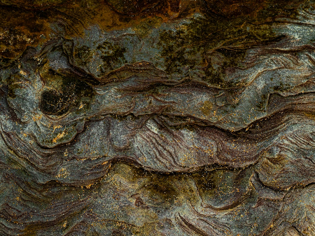 Swimming Through Time: Fossil Evidence of Aquatic Life (Image Credits: Unsplash)