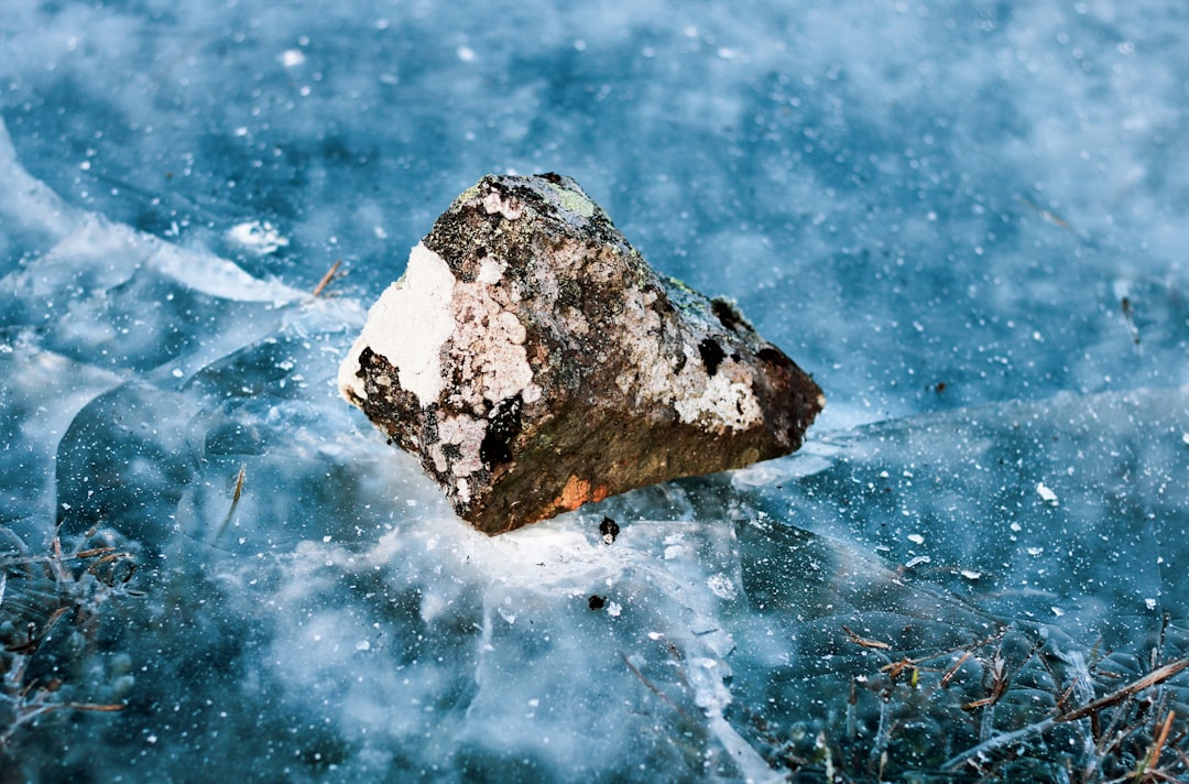 The Acid Rain Apocalypse: Chemical Death from Above (Image Credits: Unsplash)