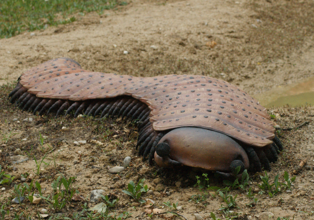 Arthropleura: The Car-Sized Millipede That Roamed the Forest Floor (Image Credits: Flickr)