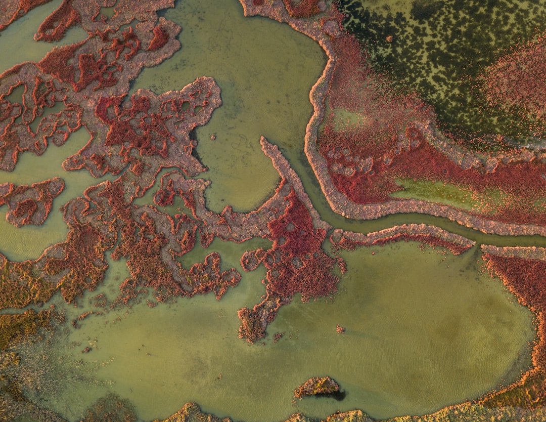 The Pacific Ring of Fire Connection (Image Credits: Unsplash)