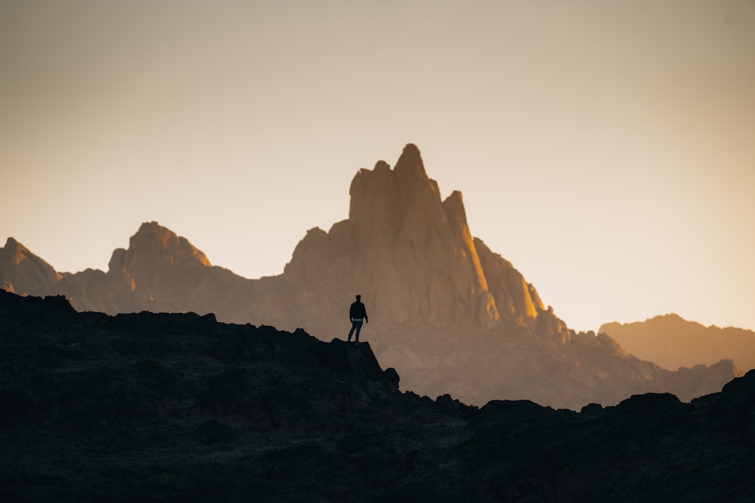 Leo: The Adventurous Royal (Image Credits: Unsplash)
