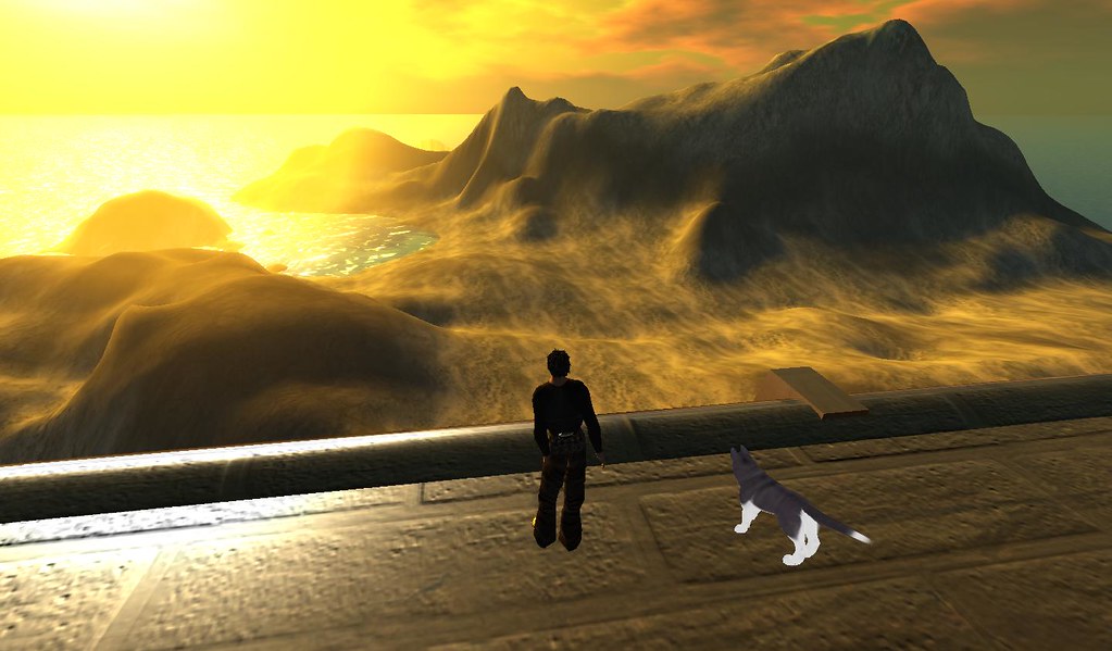 Aquarius: The Unconventional Explorer (Image Credits: Flickr)