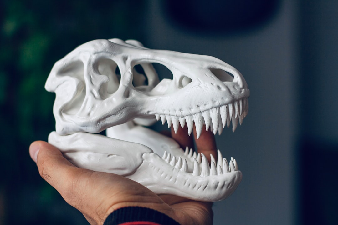 Resonance Modeling Brings Dinosaurs Back to Life (Image Credits: Unsplash)