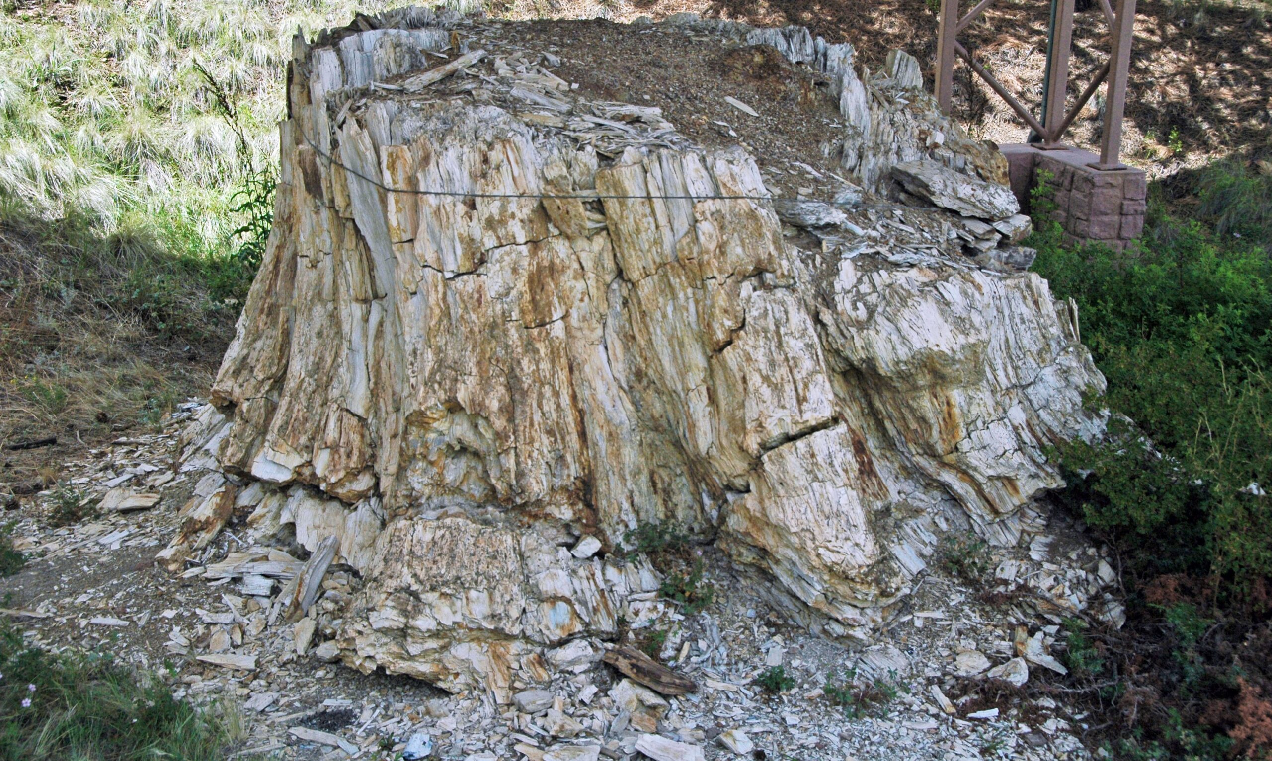 The Perfect Storm: When Geology Meets Biology (Image Credits: Wikimedia)