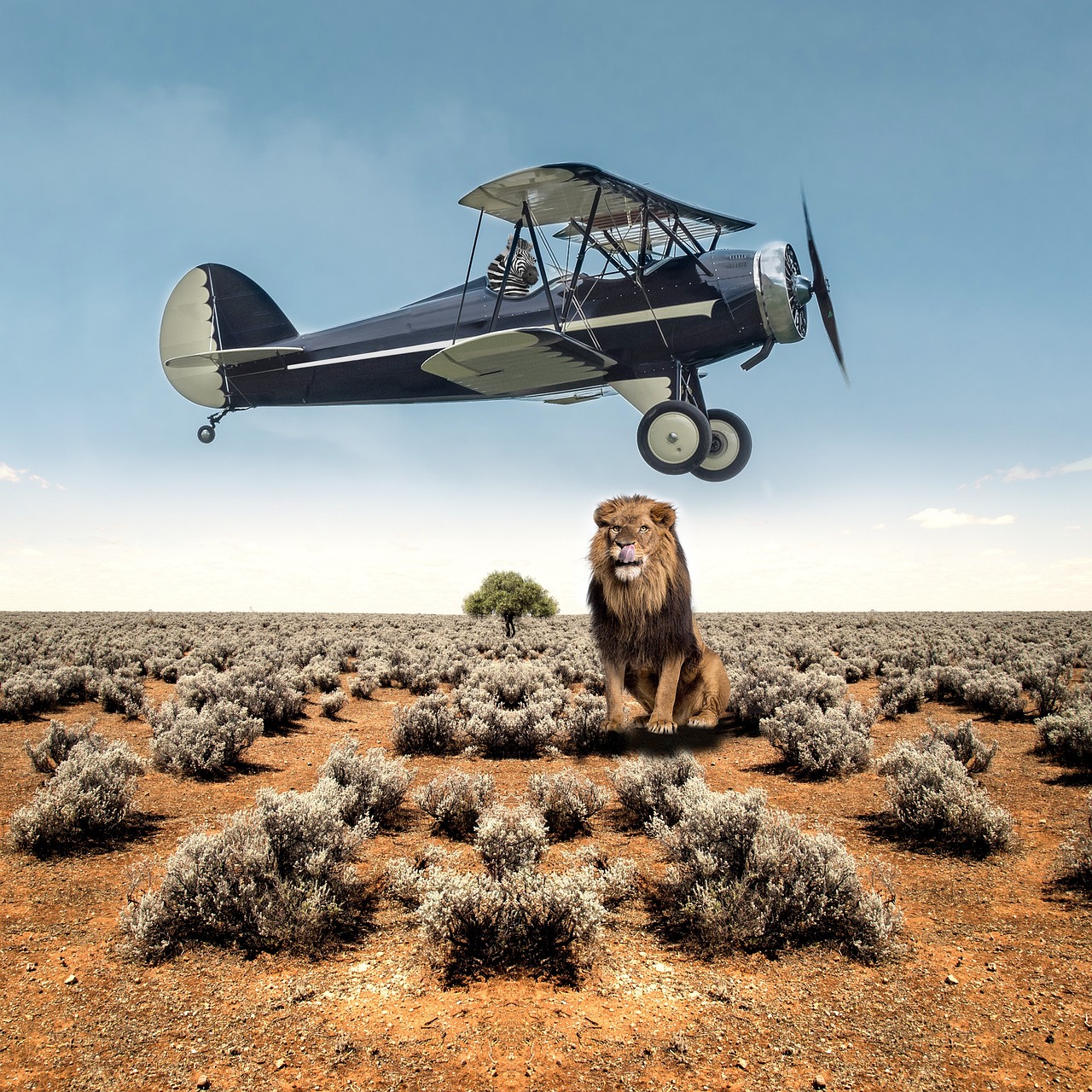 Leo: The Proud Resistors (Image Credits: Pixabay)