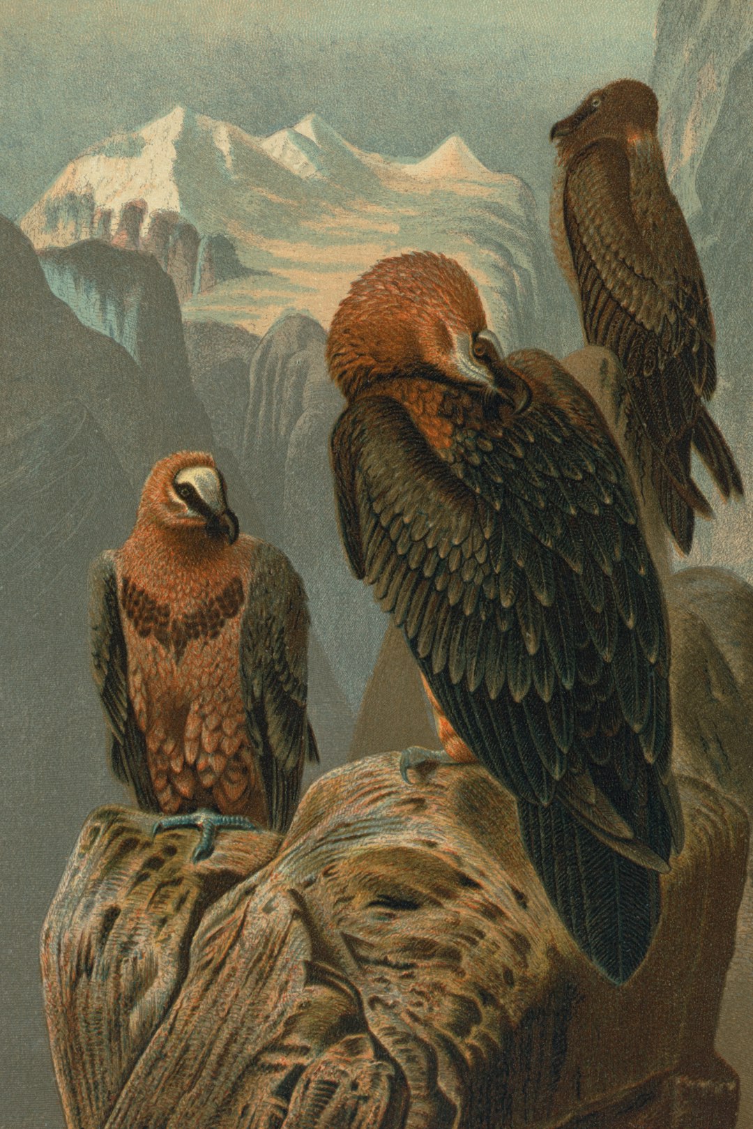 The Survivors: Who Made It Through (Image Credits: Unsplash)