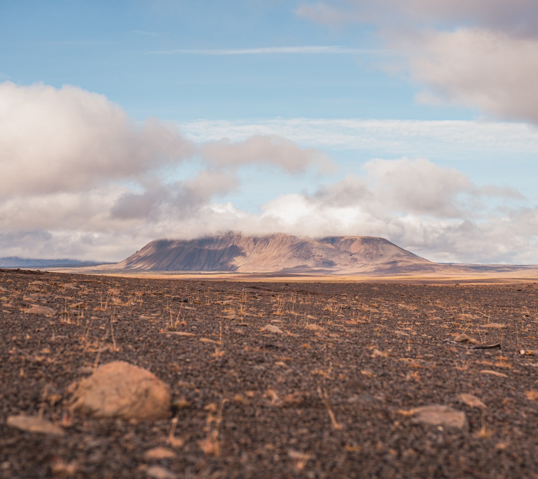 A World Dominated by Bare Rock and Sediment (Image Credits: Unsplash)