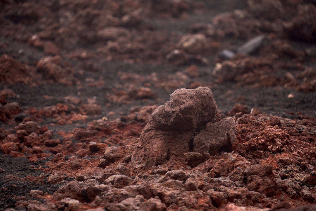 Soil Formation: Building the Foundation for Complex Life (Image Credits: Unsplash)