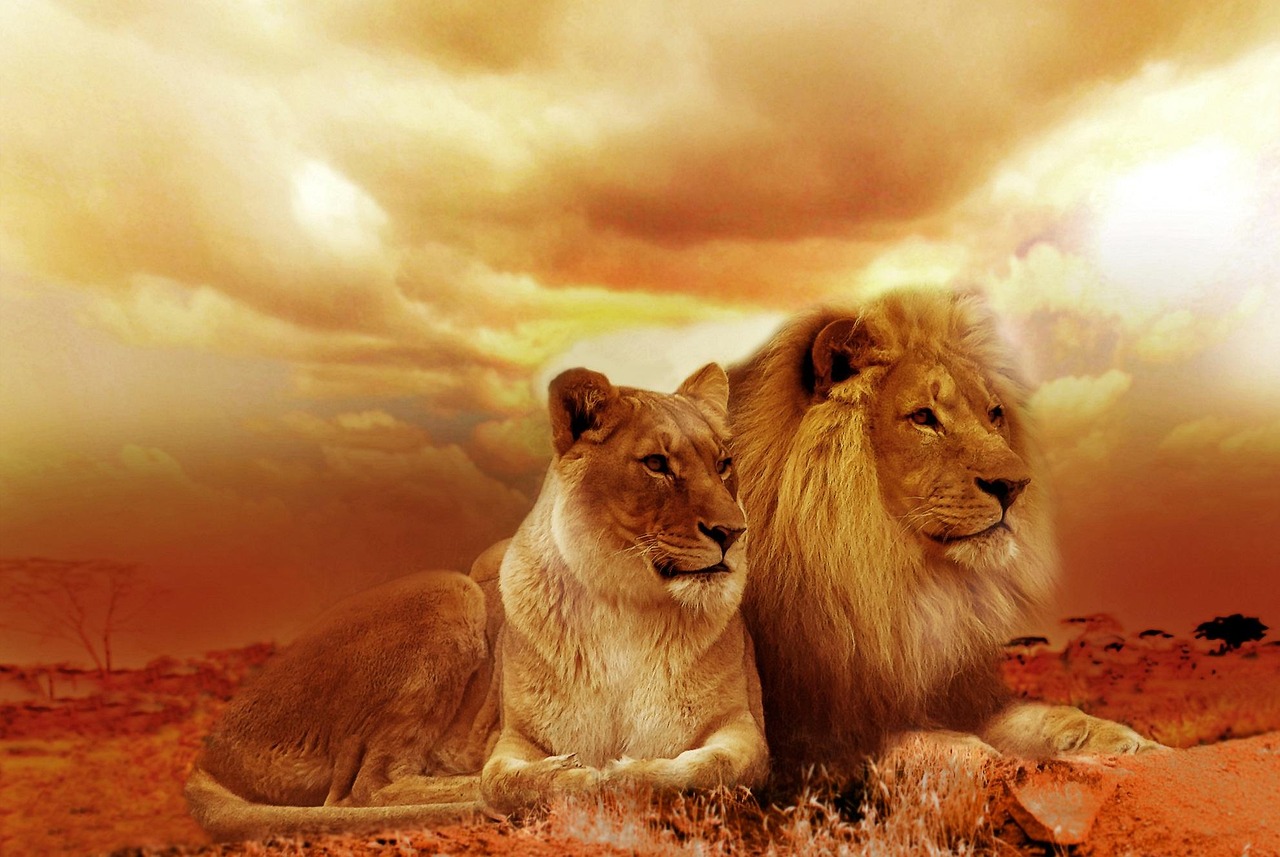 Leo - The Lion's Radiant Confidence (Image Credits: Pixabay)