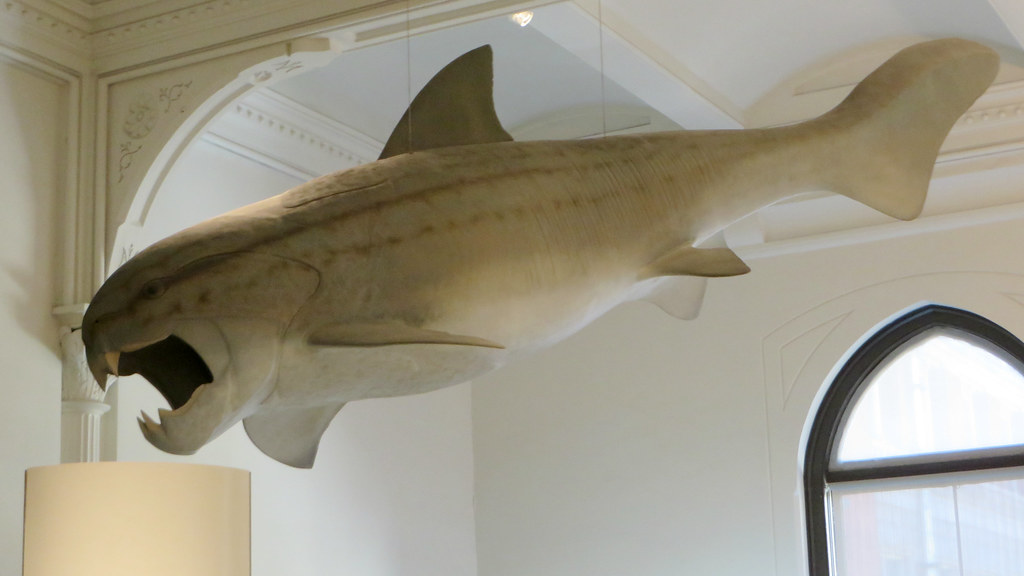 The Living Tanks of Devonian Seas (Image Credits: Flickr)