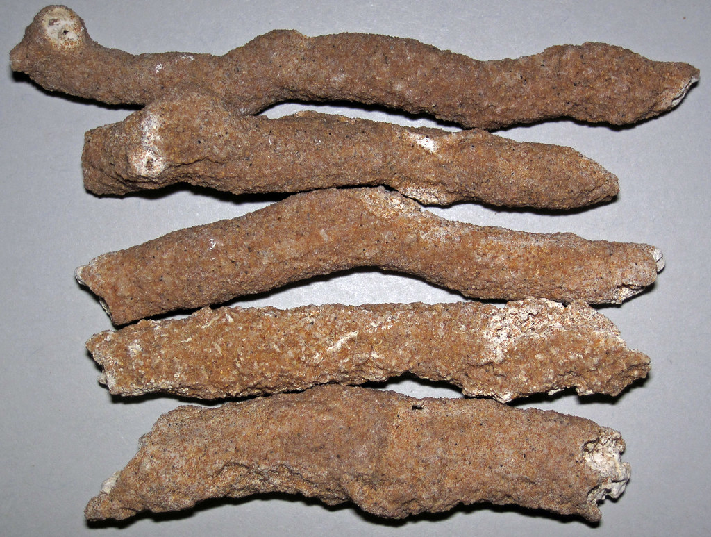 Fulgurites: Nature's Glass Furnaces That Changed Everything (Image Credits: Flickr)